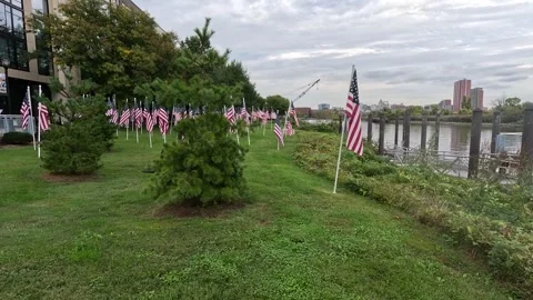 American Flags waving with trees Stock Footage 286164075
