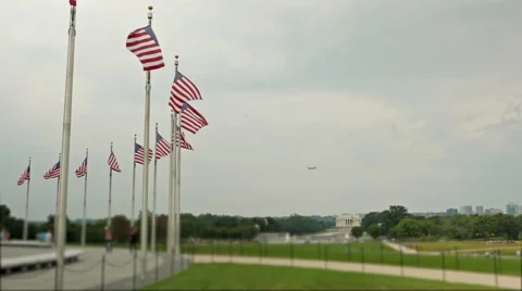 American flags white house Stock Footage 55443633