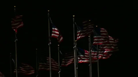 American Flags In Wind At Night Stock-Footage 544541