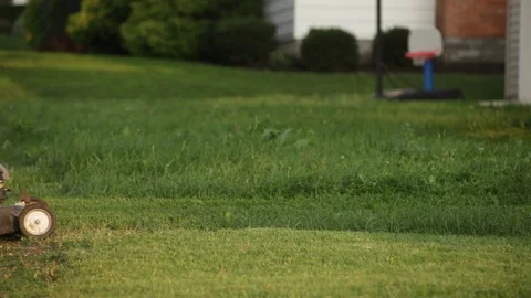 American Gardener Stock Footage 126298937