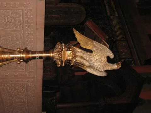 American gold eagle Stock Photos