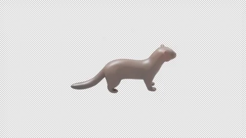 American mink - Loop Alpha HD ProRes Stock Footage 328354700