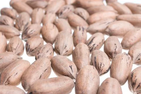 American Nuts background Stock Photos