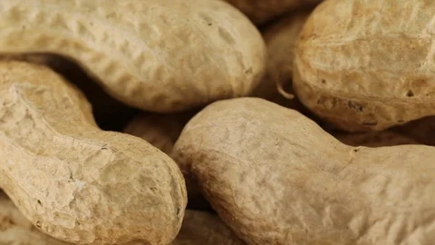 American peanuts bio Stock Footage 95703981