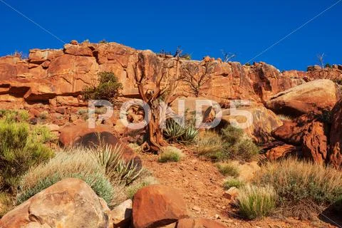 American prairie landscapes Stock Photos