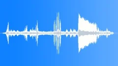 American Red Squirrel CUSound Effect