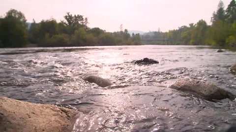 American River at Sunset Stock Footage 317349156