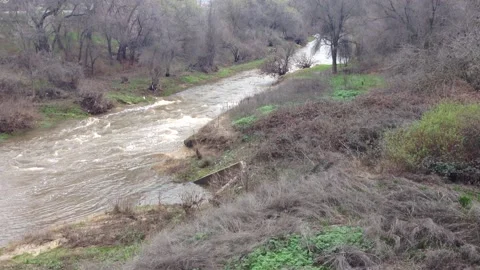 American River Tributary in Winter Stock Footage 144069695