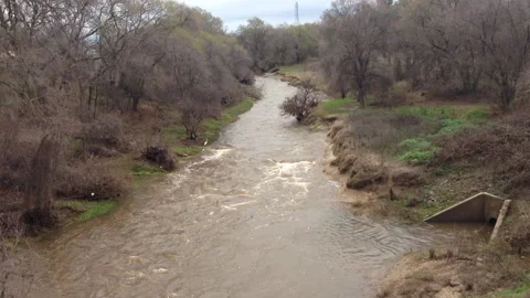 American River Tributary in Winter Video stock 144069702