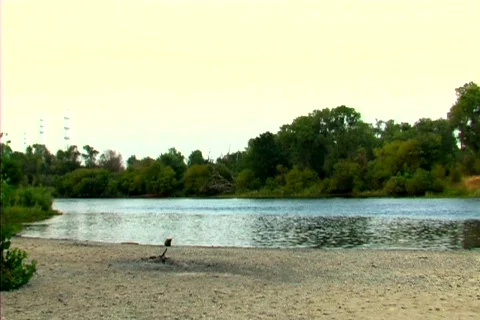 American River's Shore Stock Footage 264154