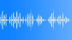 American Robin Bird SongSound Effect