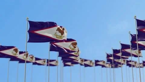 American Row Of Flags Animation Video stock 148614660