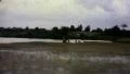 American Soldier Vietnam War 1968 (Vintage GI Home Movie Film) 6464 HD Footage
