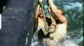 American Soldier Vietnam War 1968 (Vintage GI Home Movie Film) 6539 HD Footage