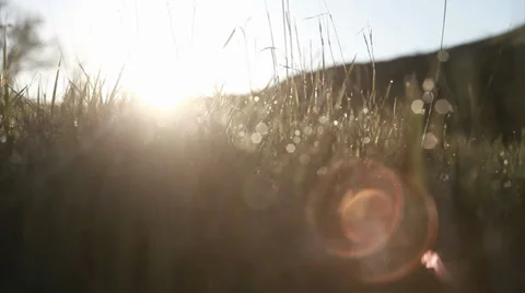 American sunrise Stock Footage 37866933