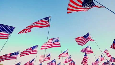American USA flags waving in the wind against sunset Stock Footage 217414990