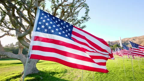 American USA flags waving in the wind against sunset in nature Stock Footage 217415073