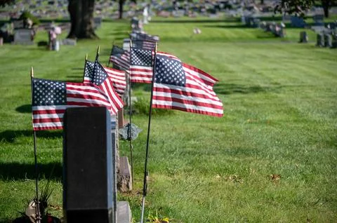 American veterans flags flutter in a row in grassy cemetery Stock Photos