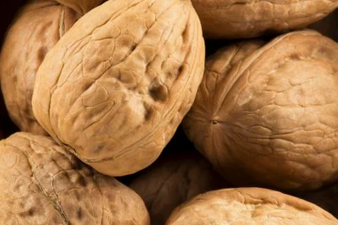 American walnuts Stock Photos