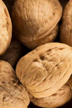 American walnuts Stock Photos