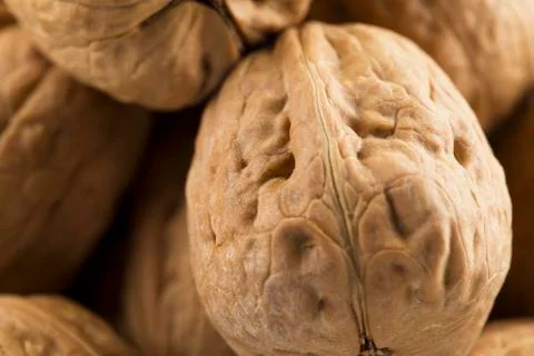 American walnuts Stock Photos
