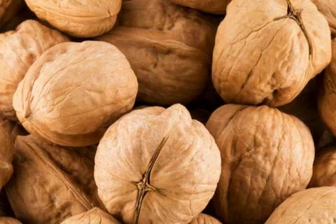 American walnuts Stock Photos