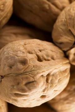 American walnuts Stock Photos