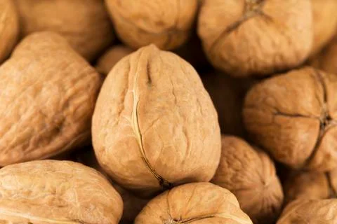 American walnuts Stock Photos