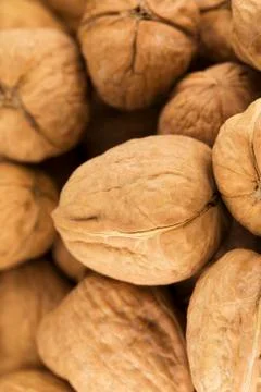 American walnuts Stock Photos