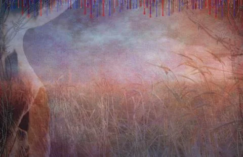 The american west Stock Illustration