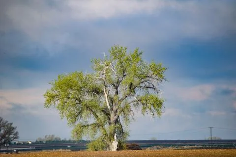 American West Stock Photos