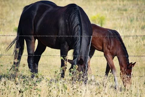 American West Stock Photos