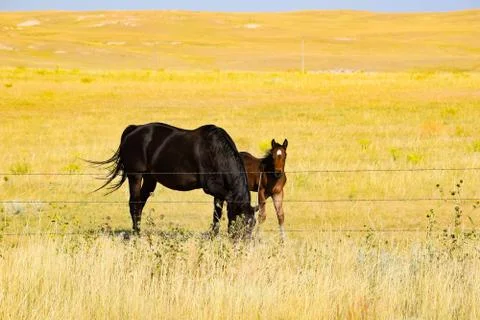 American West Stock Photos