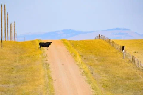American West Stock Photos