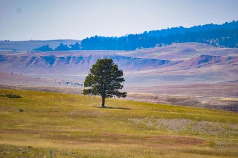 American West Stock Photos