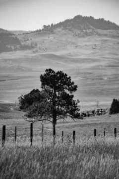 American West Stock Photos