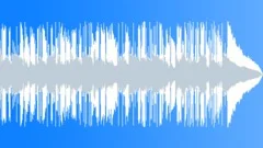 Americana Folk Pop Upbeat - 15 SecondStock Music