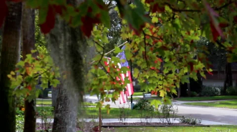 Americana Stock Footage 62200397
