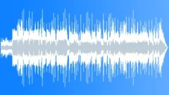 Americana Strum (30s) Stock Music