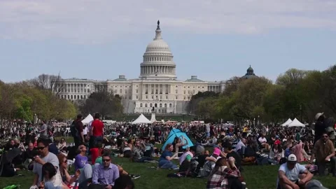 Americans enjoy the solar eclipse from the National Mall in Washington, Washingt Stock Footage 271312408