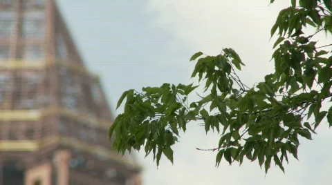  AmeriClips 0010 Stock Footage 120736