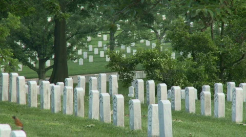 AmeriClips 0046 Stock-Footage 285980