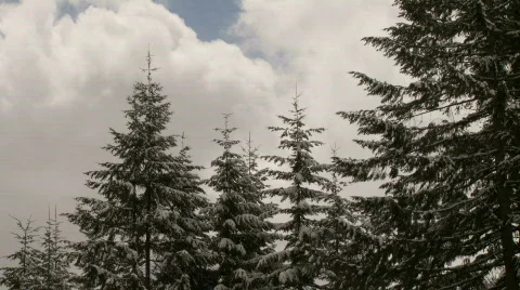 AmeriClips 0071 Stock-Footage 285011