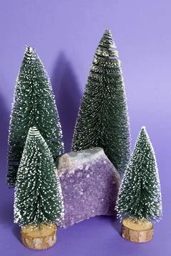 Amethyst in a firs forest Stock Photos