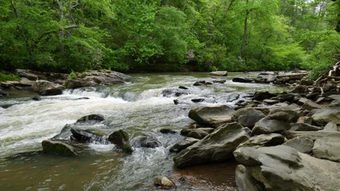 Amicalola Creek springtime in the mountains. Stock Footage 333866702