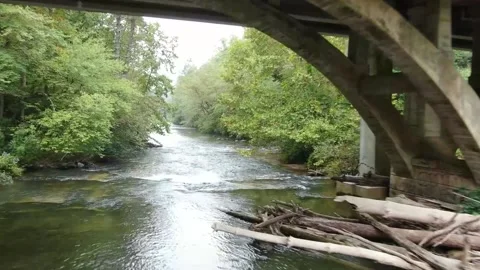 Amicalola River Bridge Video stock 162629356