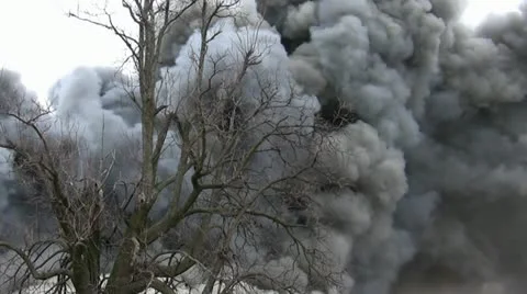 Amid the Force of Nature - House Fire Causes Billowing Smokey Fire Video stock 10889434