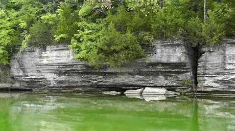 Amid Nature - Bass Fish Splashing in the Lake Stock Footage