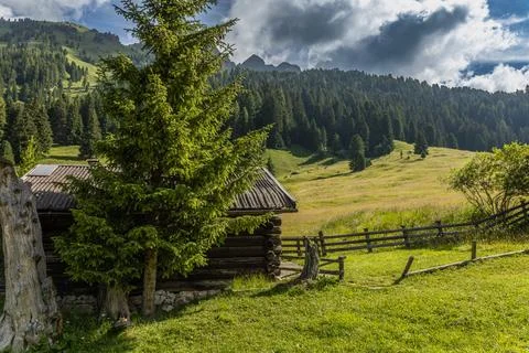 Amidst dense forests Stock Photos