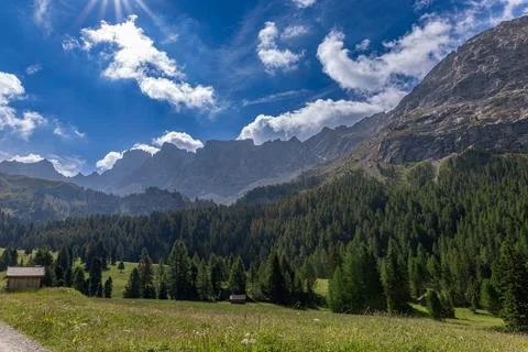 Amidst dense forests Stock Photos